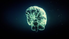 Human Brain - Energy Flows inside Spinning Brain with futuristic blue background. Infinite Loop in 3D animation